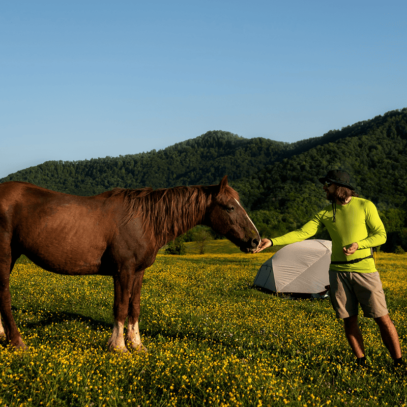 Petrashop Energy Boost Horse Pellets (20kg)