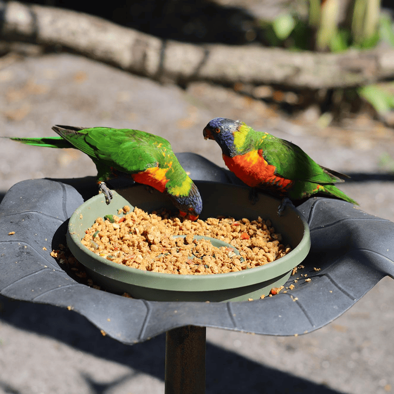 NutriMix Parrot Blend (1kg)