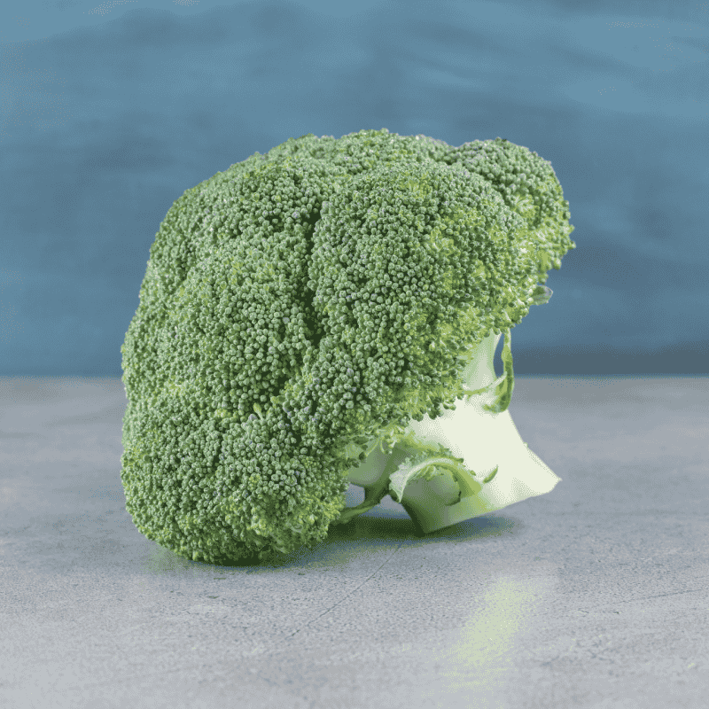 Fresh Organic Broccoli – Nutritious, Crisp & Fresh Green